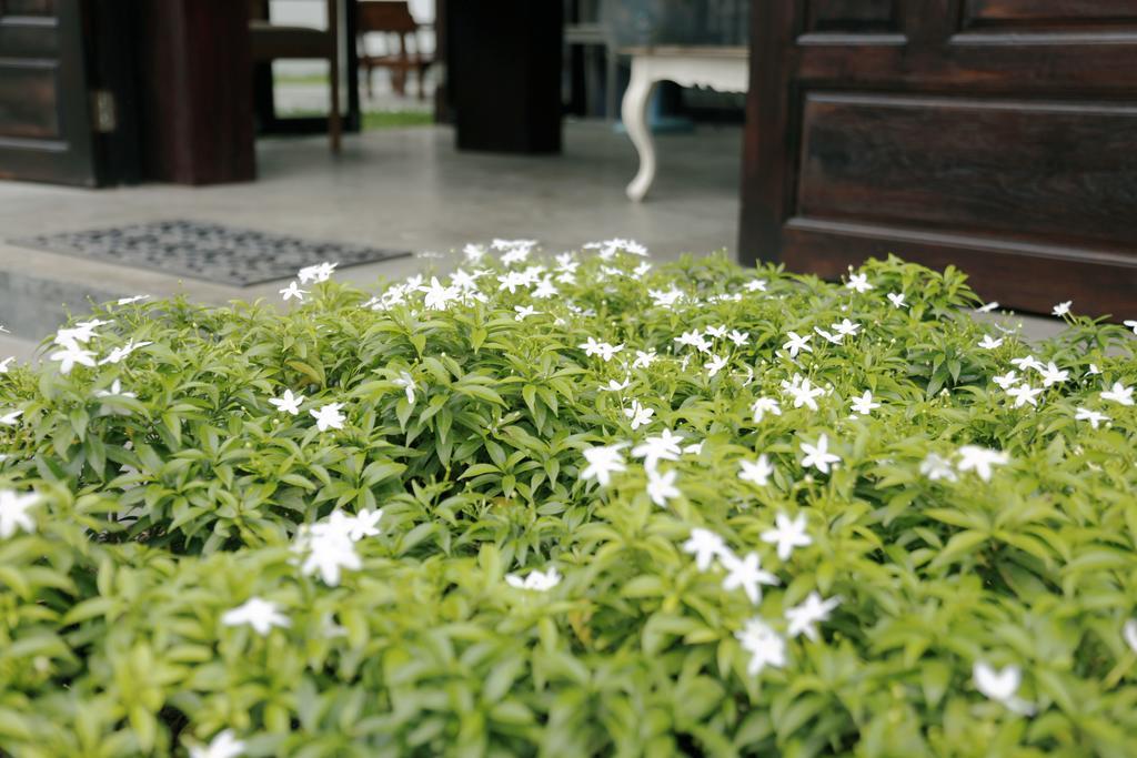 Hotel Mona Chiangmai Boutique Čiang Mai Exteriér fotografie